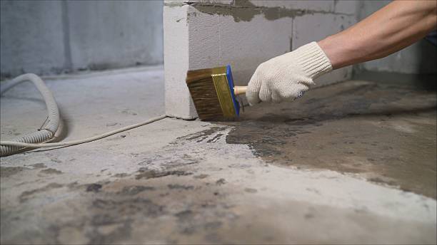 Top rated local Basement Waterproofing specialists in Rossville, KS